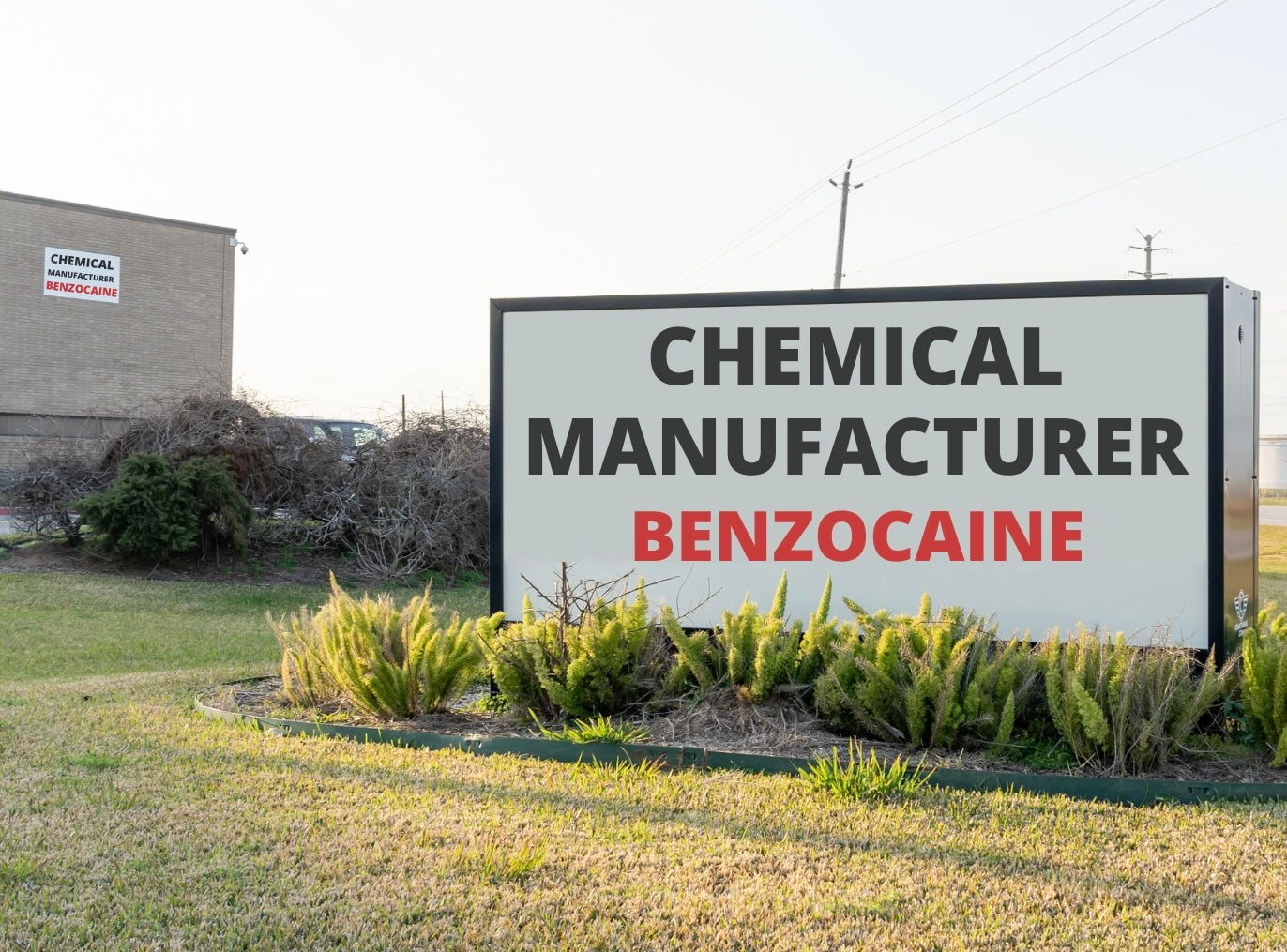 Benzocaine.com
